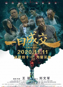 中文字幕未删减版在线观看