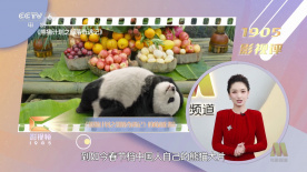 手机在线观看